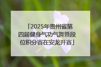 2025年贵州省第四届健身气功气舞暨段位积分赛在安龙开赛