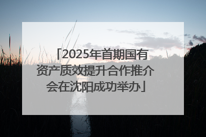 2025年首期国有资产质效提升合作推介会在沈阳成功举办