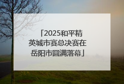 2025和平精英城市赛总决赛在岳阳市圆满落幕