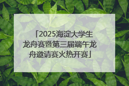 2025海淀大学生龙舟赛暨第三届端午龙舟邀请赛火热开赛