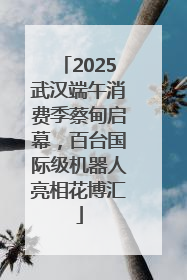 2025武汉端午消费季蔡甸启幕，百台国际级机器人亮相花博汇