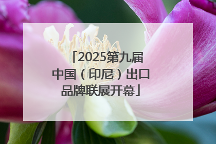2025第九届中国（印尼）出口品牌联展开幕