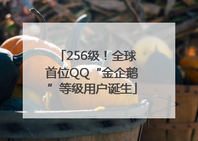 256级！全球首位QQ“金企鹅”等级用户诞生