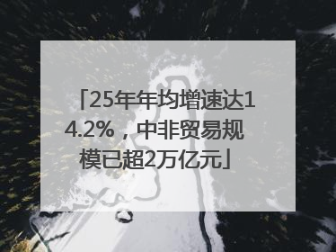 25年年均增速达14.2%，中非贸易规模已超2万亿元