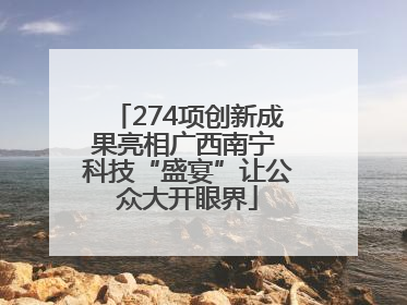 274项创新成果亮相广西南宁 科技“盛宴”让公众大开眼界