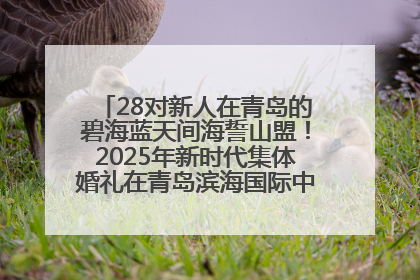 28对新人在青岛的碧海蓝天间海誓山盟！2025年新时代集体婚礼在青岛滨海国际中心文明实践广场举行