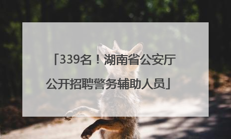 339名！湖南省公安厅公开招聘警务辅助人员