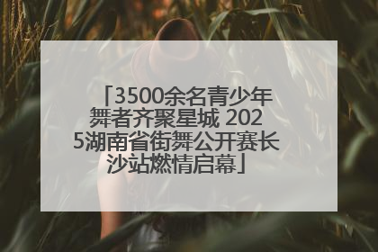 3500余名青少年舞者齐聚星城 2025湖南省街舞公开赛长沙站燃情启幕
