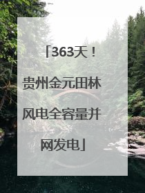 363天！贵州金元田林风电全容量并网发电
