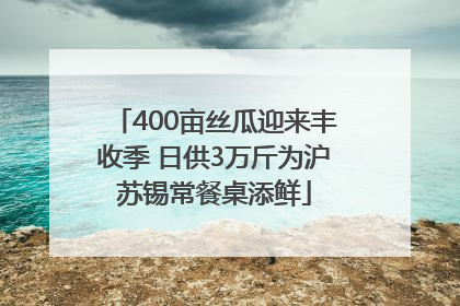 400亩丝瓜迎来丰收季 日供3万斤为沪苏锡常餐桌添鲜
