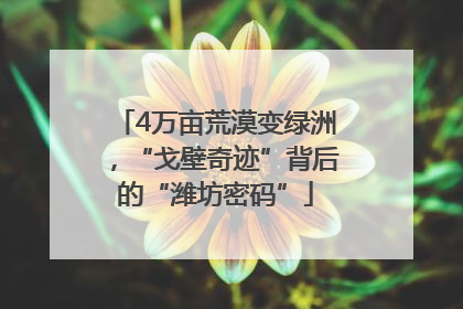 4万亩荒漠变绿洲，“戈壁奇迹”背后的“潍坊密码”