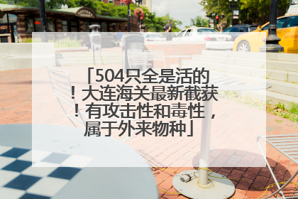 504只全是活的！大连海关最新截获！有攻击性和毒性，属于外来物种