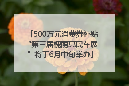 500万元消费券补贴 “第三届槐荫惠民车展”将于6月中旬举办