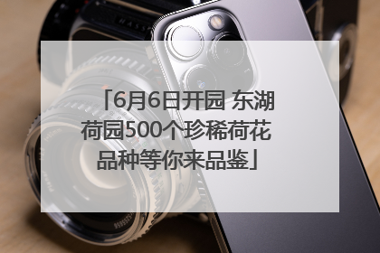 6月6日开园 东湖荷园500个珍稀荷花品种等你来品鉴