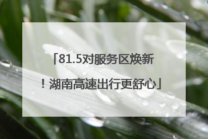 81.5对服务区焕新！湖南高速出行更舒心