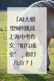 AI大模型9秒挑战上海中考作文“相互成全”，你打几分？