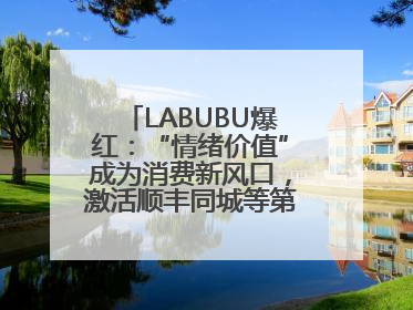 LABUBU爆红：“情绪价值”成为消费新风口，激活顺丰同城等第三方即配
