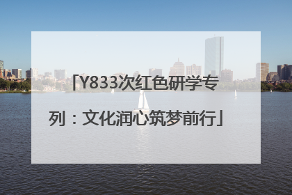 Y833次红色研学专列：文化润心筑梦前行